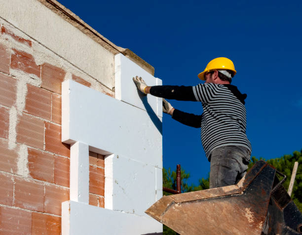 Best Eco-Friendly Insulation in Pineland, TX