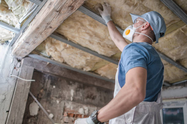 Best Specialized Insulation Services in Pineland, TX
