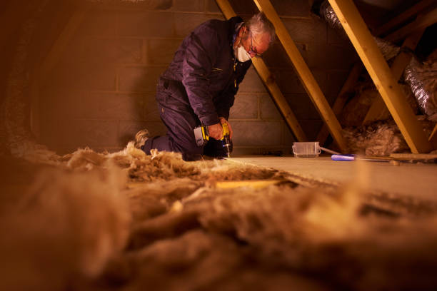 Best DIY Insulation Kits and Guidance in Pineland, TX